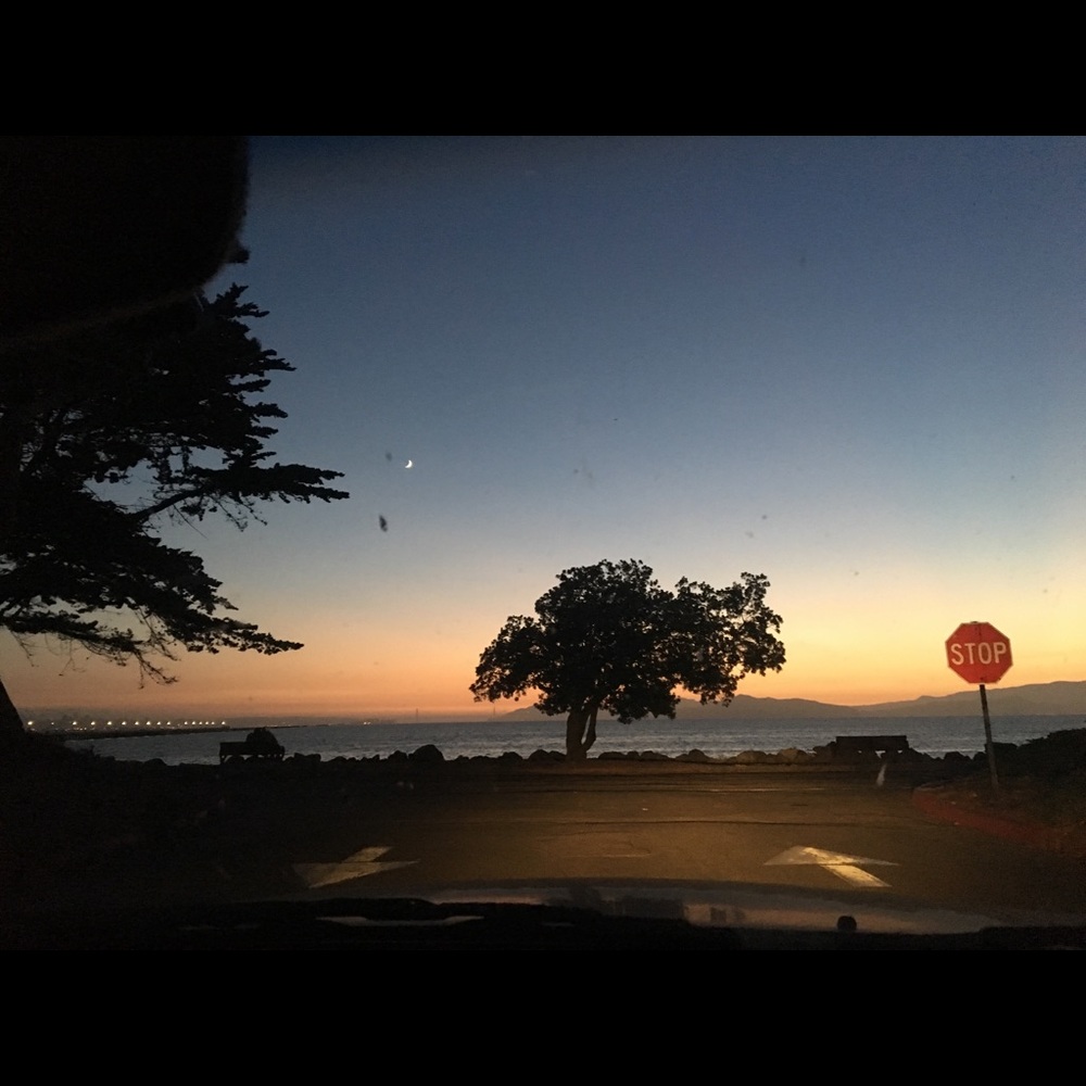 Meet your Posher, Mariela